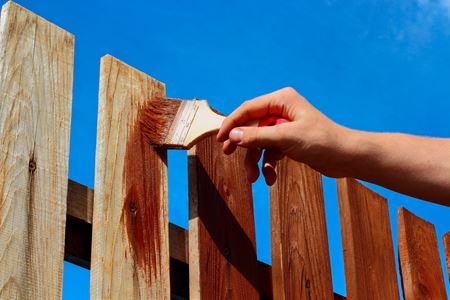 Fence Staining & Painting Thumbnail